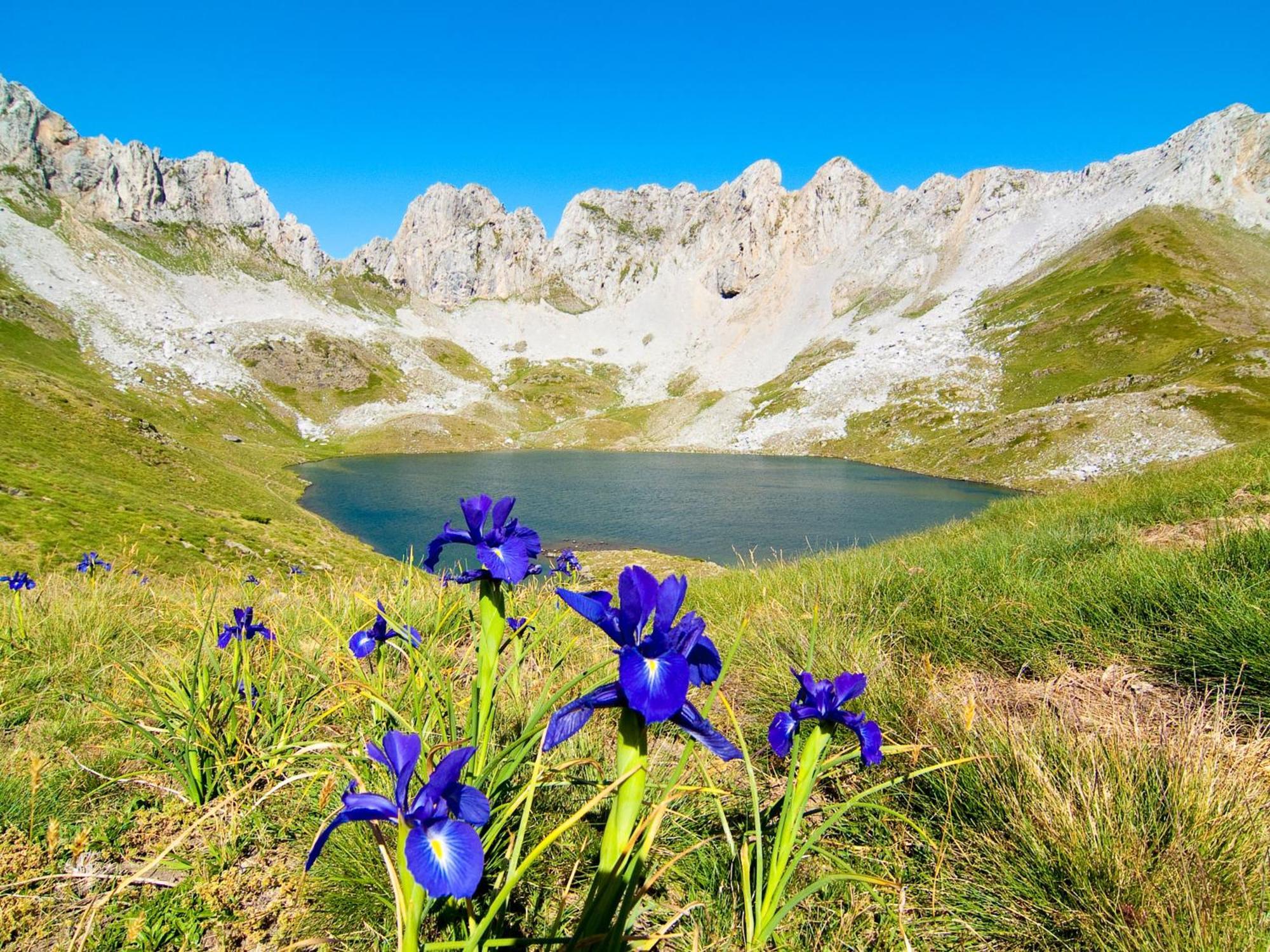 Bungalows Y Cabanas Solopuent Natur Castiello de Jaca Zewnętrze zdjęcie